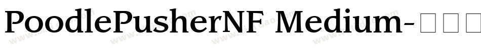 PoodlePusherNF Medium字体转换